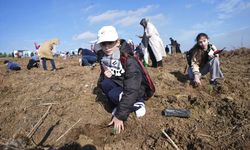 Gazze’de Şehit Edilen Çocukların Anısına İstanbul’da 10 Bin Fidan Toprakla Buluştu