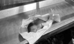 Gazze’de soğuk bir can daha aldı: Bir çocuk yaşamını yitirdi