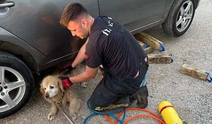 Çiftlikköy’de İtfaiyeden 4 Can İçin Kurtarma Operasyonu