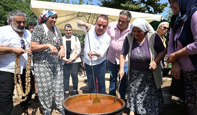 Antalya Gastronomi Festivali İkinci Gününde Mor Üzüm Hasadı Gerçekleşti! Mor üzümler toplandı ve pekmez üretildi!