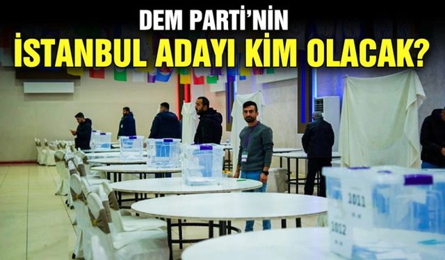 DEM Partisi, İstanbul'da Aday Çıkarma Kararı Alıyor: Başak Demirtaş Mı?