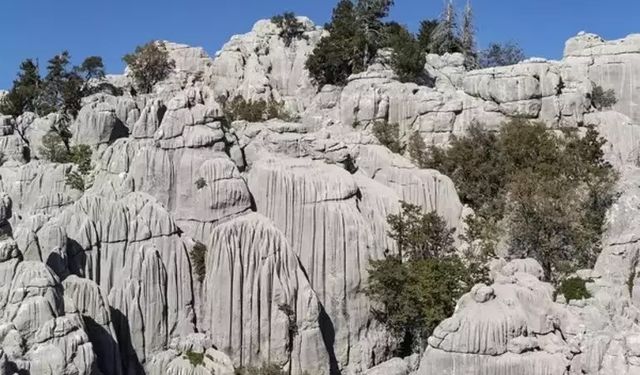 Lapya Nedir, Özellikleri Nelerdir? Lapya Nasıl Oluşur?