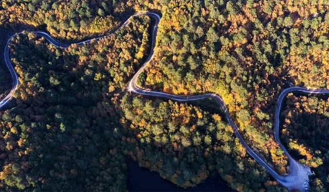 Yalova Doğa Turizmi İçin Çalışmalar Yapıyor