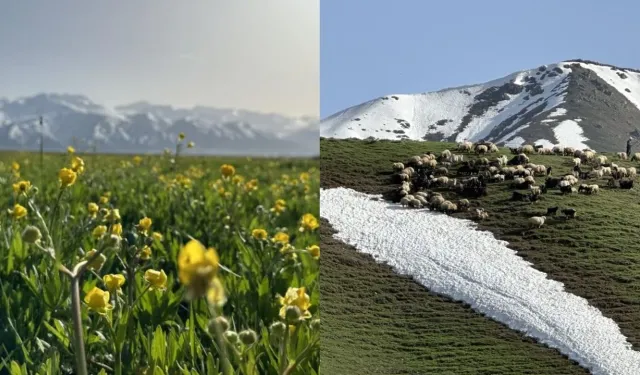 Yüksekova'da Doğanın Muhteşem İkilisi: Karlı Dağlar ve Yeşil Ovalar