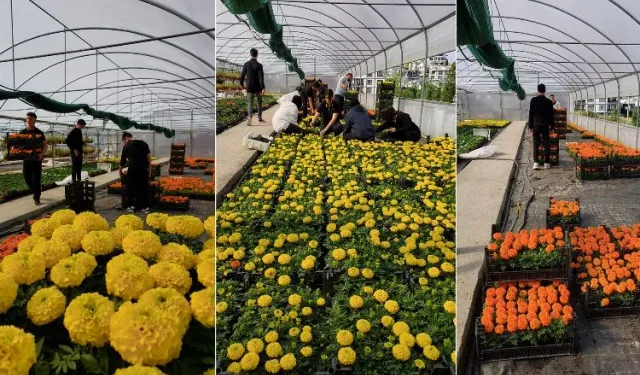 Yalova'nın Çiçeklerle Renklenen Güzelliği: Okul İş Birliğiyle Şehir Bahçeleri Gelişiyor