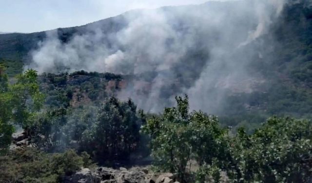 Yalova Termal'de Orman Yangını Kontrol Altına Alındı