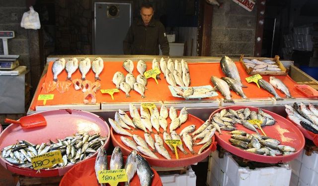 Yalova'da Balık Miktarı Azaldı, Fiyatlar Yükseldi!