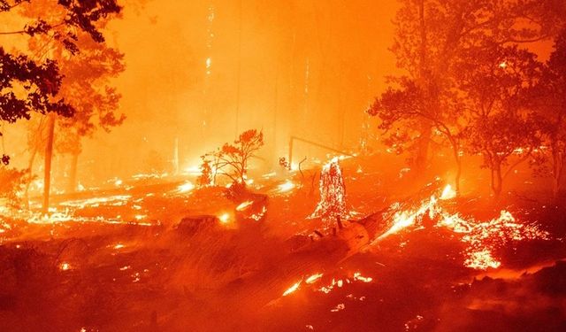 ABD’de Orman Yangınlarıyla Mücadele Sürüyor!