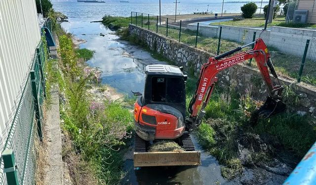 Gacık Deresi’nde Kapsamlı Temizlik: Çiftlikköy Belediyesi’nden Çevreye Büyük Katkı