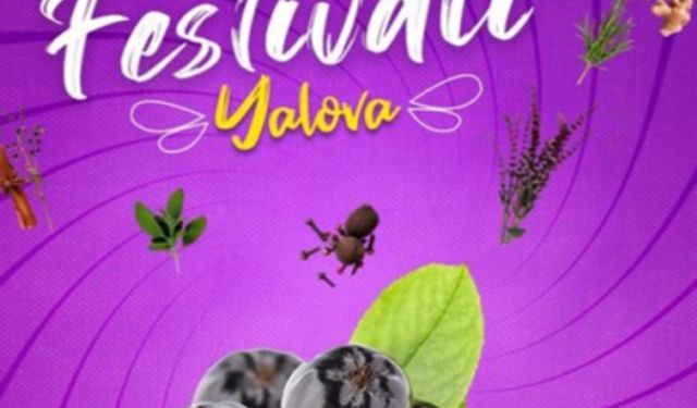 Yalova'da Aronya ve Tıbbi Aromatik Bitkiler Festivali İçin Stant Başvuruları Başladı