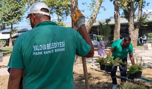 Yalova Mahaçkale Parkı'nda Yenileme Çalışmaları Hızla Devam Ediyor