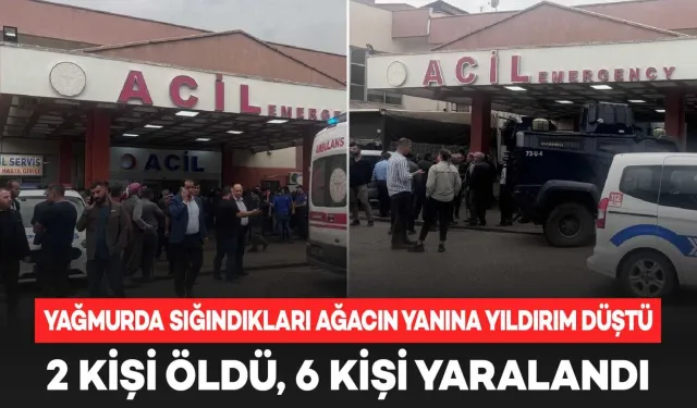 Şırnak'ta Sığındıkları Ağaca Yıldırım Düştü: 2 Ölü, 6 Yaralı