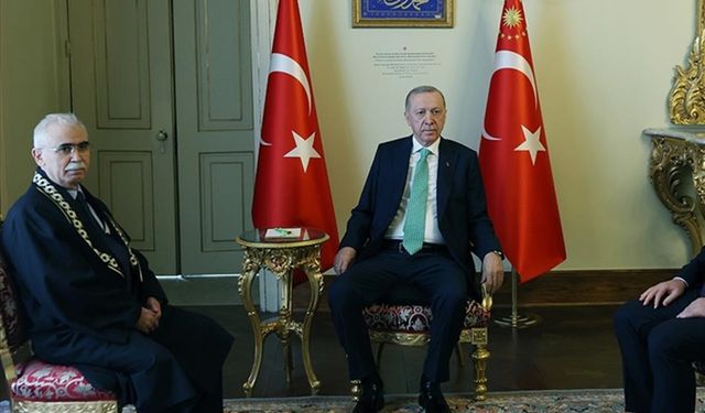 Cumhurbaşkanı Erdoğan, AYM Başkanı Özkaya'yı kabul etti