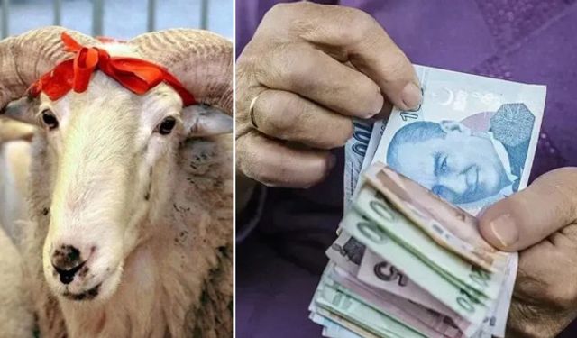 Sahte Sigorta İle Emekli Olanlara Kötü Haber: Bayram İkramiyesi Yok!
