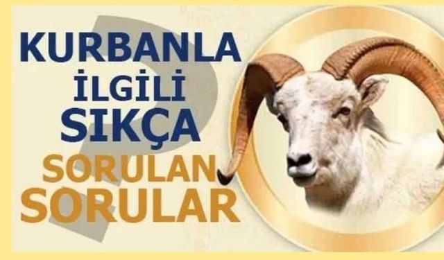 Kurban Özel Dosyası: Kurbanla İlgili Merak Edilenler: Etin Dağıtımından Vekaletle Kesime Kadar Her Şey