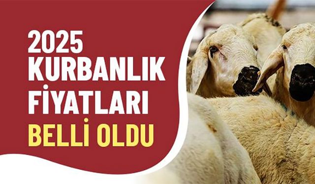 2025 Kurbanlık Fiyatları Ne Kadar Oldu? İl İl Güncel Kurbanlık Fiyatları
