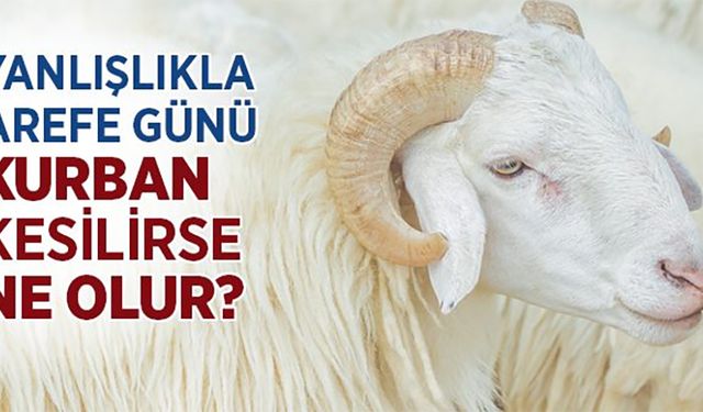Arefe Günü Yanlışlıkla Kurban Kesilirse Ne Olur?