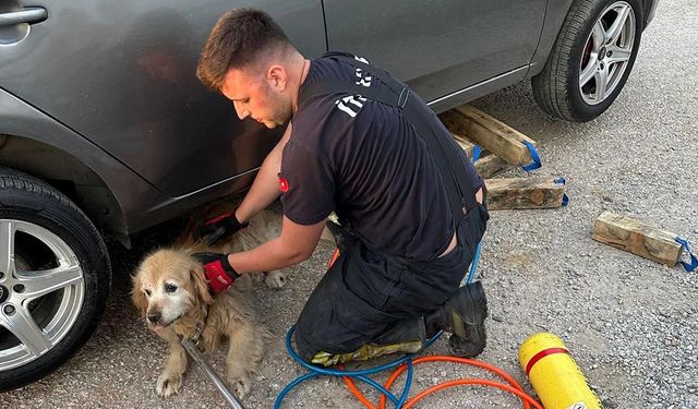 Çiftlikköy’de İtfaiyeden 4 Can İçin Kurtarma Operasyonu