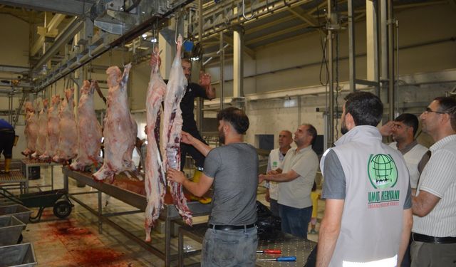 Umut Kervanı ve Yetimler Vakfı, Kurban Bayramı’nda yüzleri güldürdü