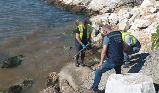 Yalova Belediyesi’ne Denizi Kirlettiği İçin 1,3 Milyon Lira Ceza