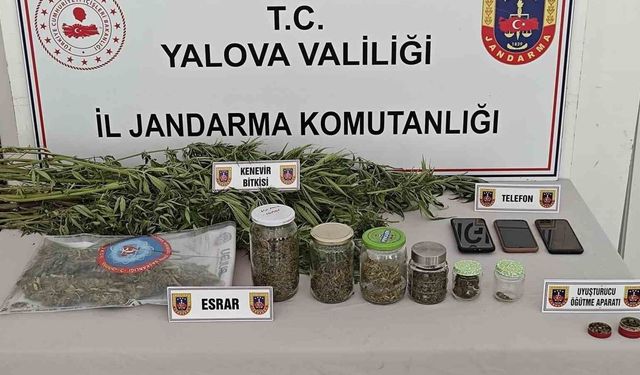 Yalova Karadere'de Ormanda Kenevir Eken 3 Kişi Gözaltına Alındı