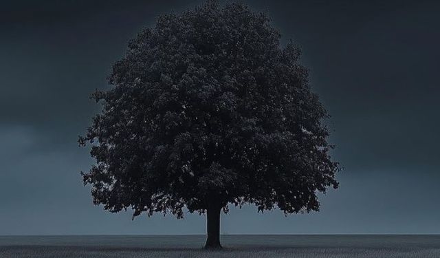 “Kalp Öldüğünde Ruh da Ölüdür: Manevi Hayatta Kalbin Önemi”