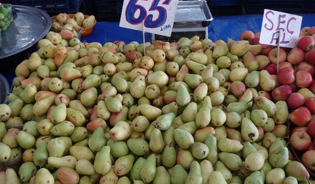 Yalova’da Sıcak Günlerin Vazgeçilmezi Karpuz Tezgâhlarda Yerini Aldı