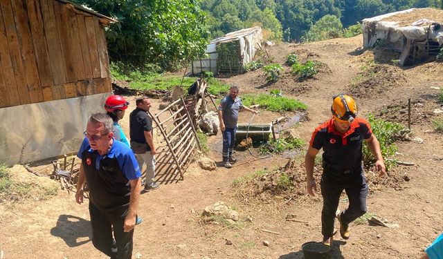 Yalova'da Dağda Yaşayan 75 Yaşındaki Kadın Rahatsızlandı: Ekipler Seferber Oldu