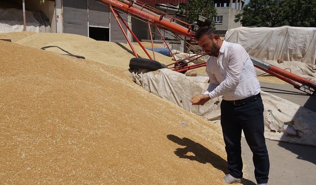 Hububat pazarı hareketli ama çiftçi girdi maliyetlerinden dertli