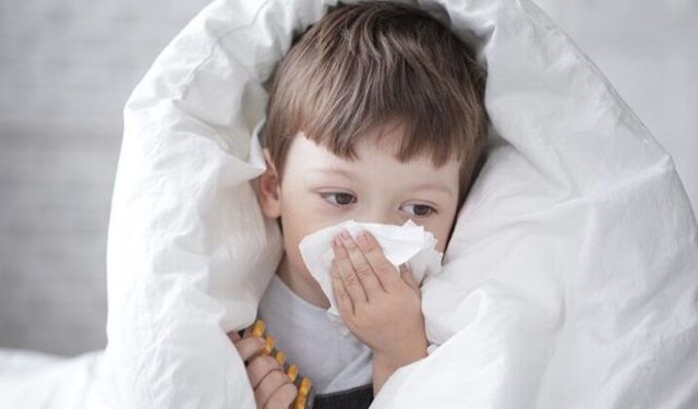 Sonbaharda Alerji Alarmı: Hapşırma ve Burun Tıkanıklığı Grip Değil, Alerji Belirtisi Olabilir