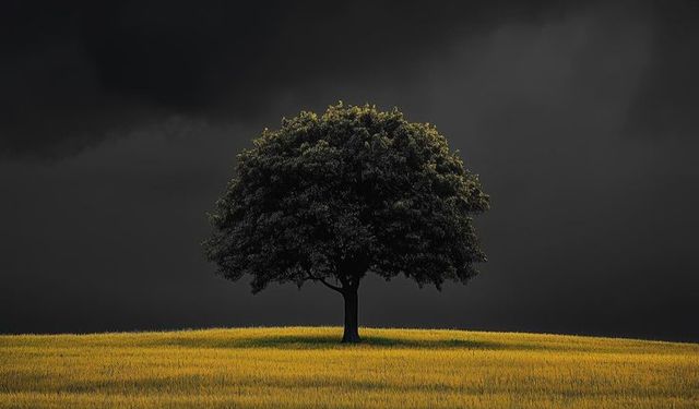 Tehlike Ne Savaş Alanı, Ne de Ölüm: Asıl Tehlike Dünyaya Kapılmak