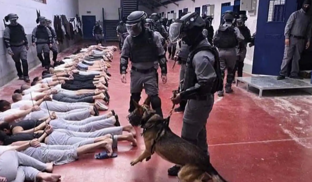 Gazze Sağlık Bakanlığı: Sde Teiman Kampından Getirilen 135 Filistinlinin Cesedinde İşkence İzleri Bulundu