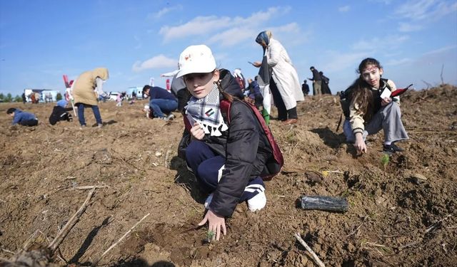 Gazze’de Şehit Edilen Çocukların Anısına İstanbul’da 10 Bin Fidan Toprakla Buluştu