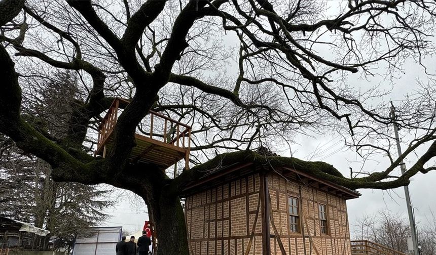 Yalova'da Restorasyonu Tamamlanan Hacı Muratlar Mescidi Açıldı