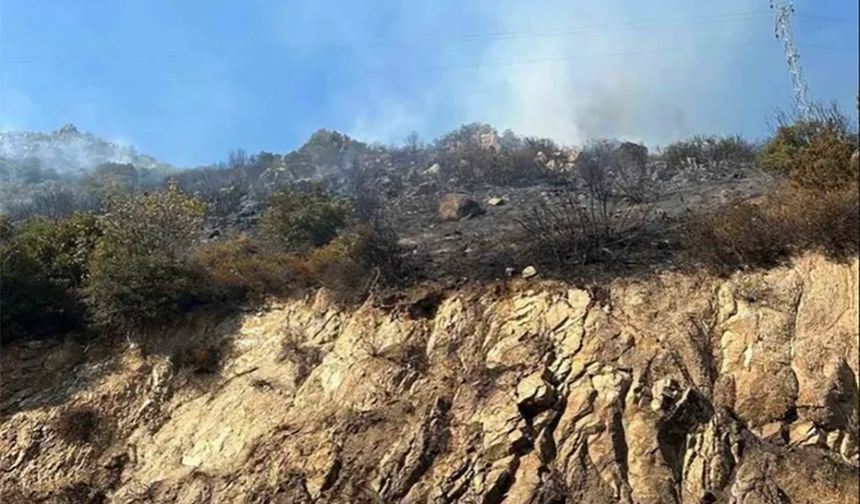 Armutlu’da İki Alanda Korkutan Yangın