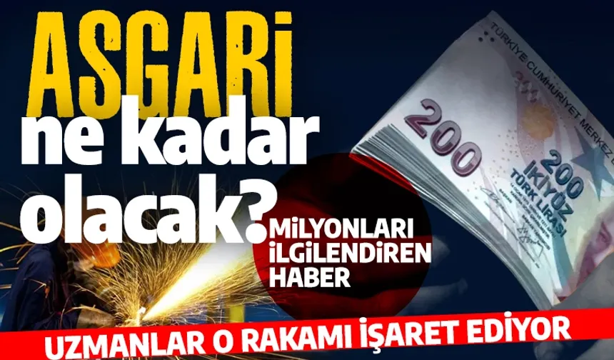 2025 Asgari ücreti ne kadar olacak? Uzman isimden çarpıcı açıklama