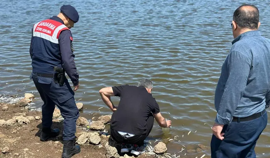 Diyarbakır'da Kirlilik Alarmı: Gölette Yavru Balıklar Ölü Bulundu