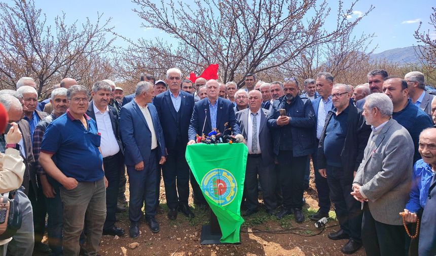 Malatya'da kayısı bahçeleri felaketi yaşıyor: Don vurdu, emekler zayi oldu