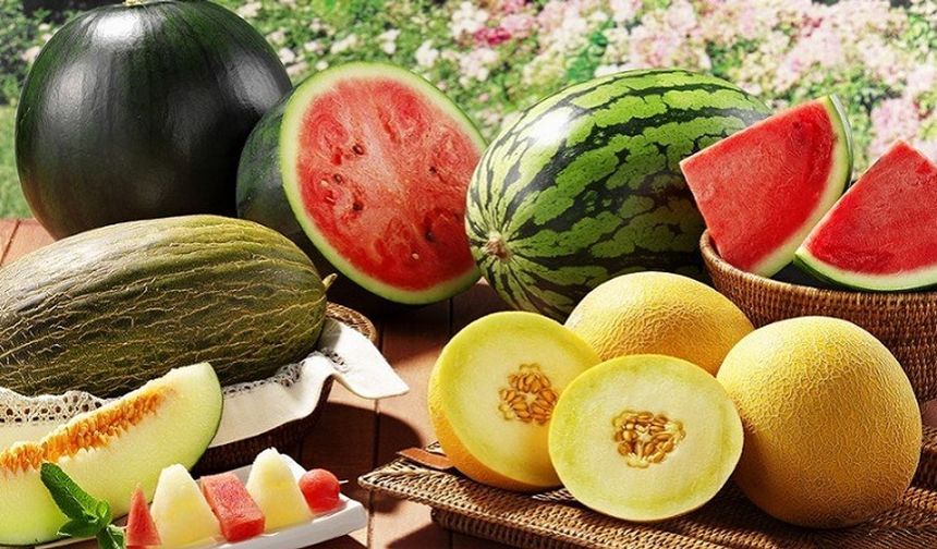 Yazın Sağlık Deposu: Renkli Yaz Meyveleriyle Doğal Canlanma
