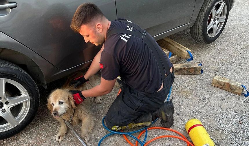 Çiftlikköy’de İtfaiyeden 4 Can İçin Kurtarma Operasyonu