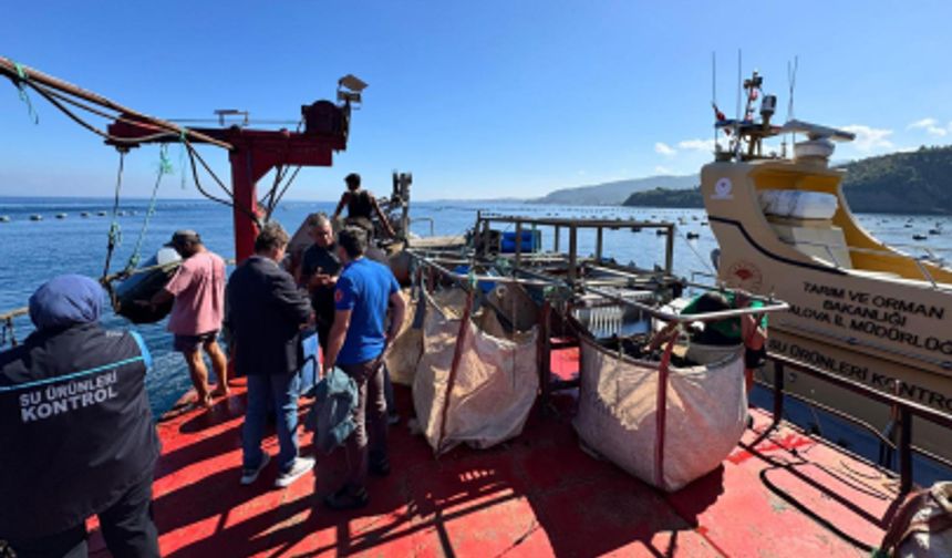 Yalova’da Midye Üretim Tesislerine Teknik Denetim