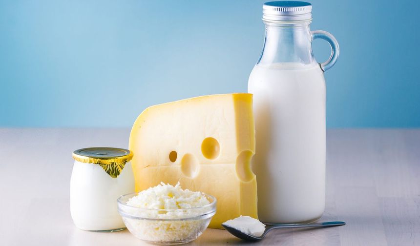 Çiğ Süt Peynirlerinde Kuş Gribi Virüsü Tespit Edildi: Uzmanlardan Uyarı!