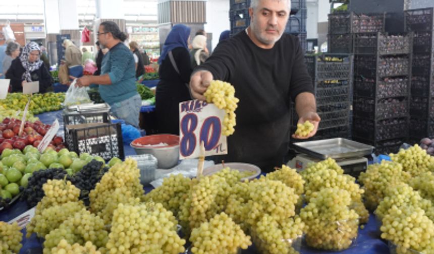 Yalova’da Üzüm Fiyatları Tırmanıyor: “Fiyat Yüksek Ama Değiyor”